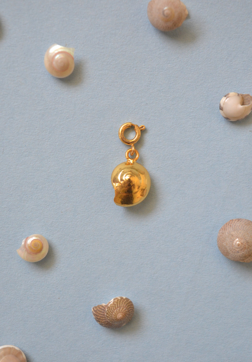 Sundial Shell Charm - Gold