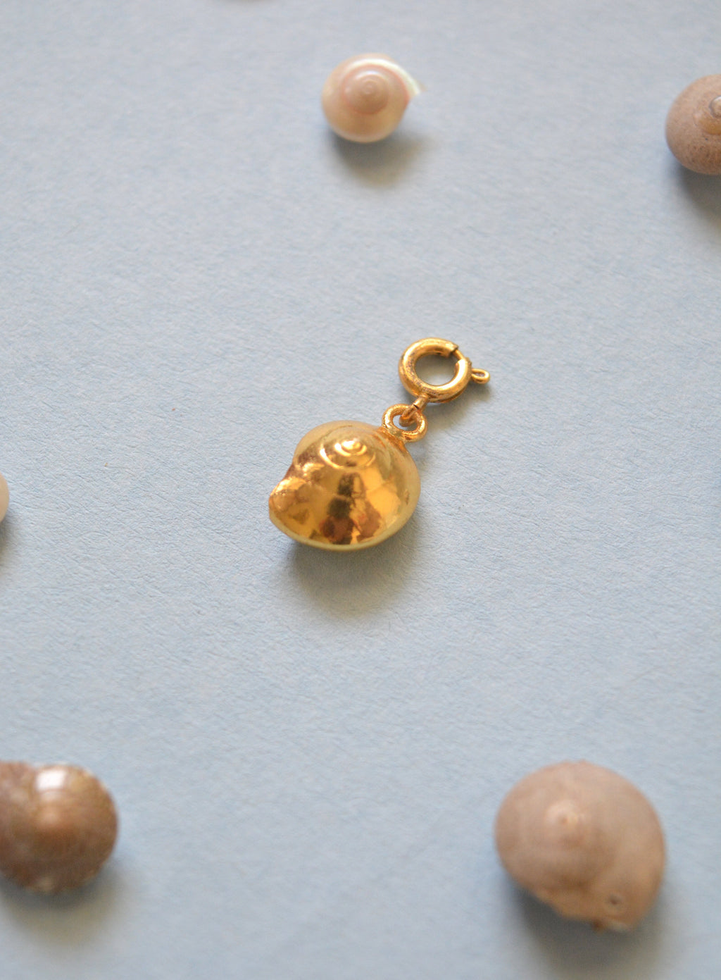 Sundial Shell Charm - Gold