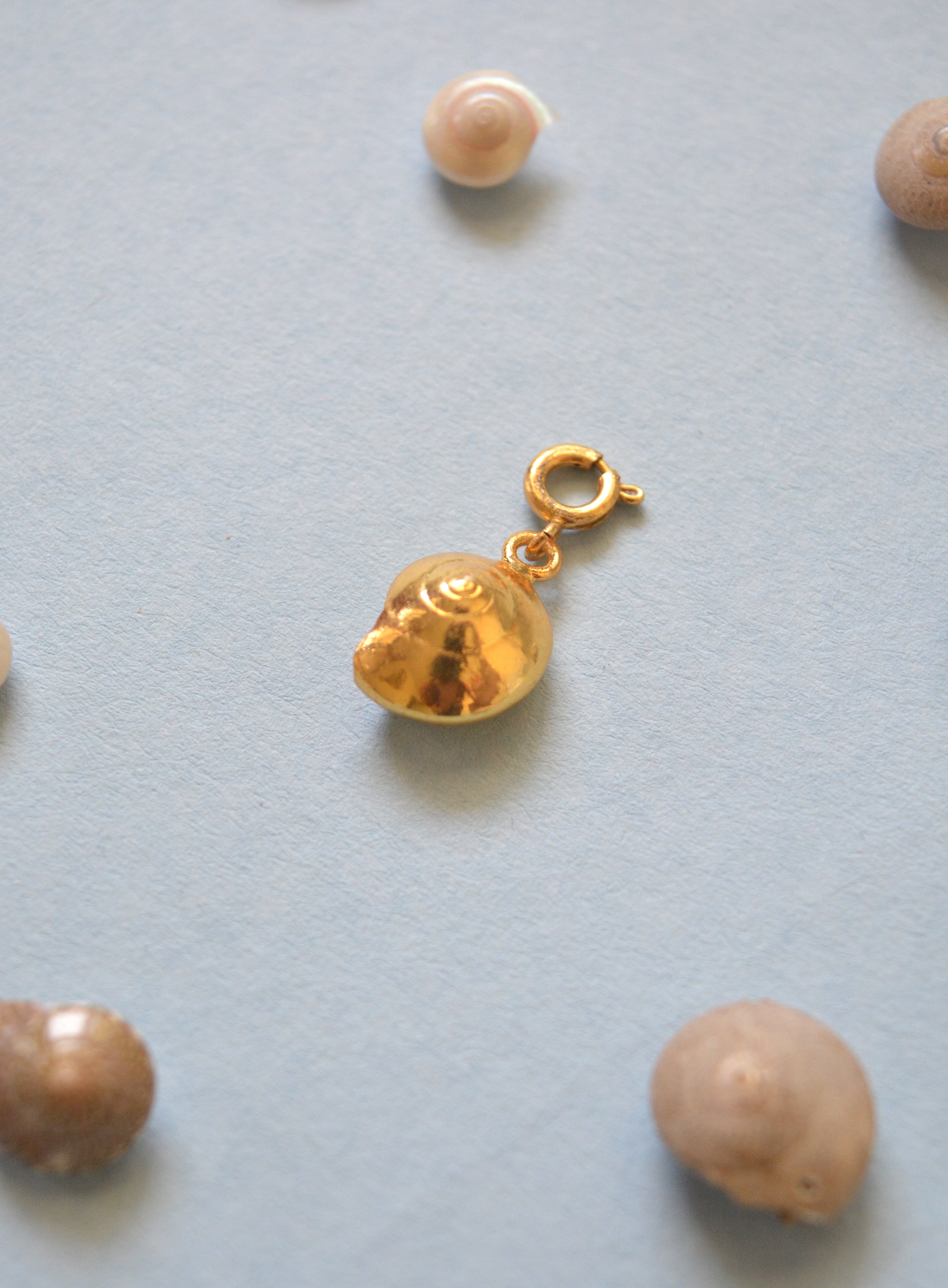 Sundial Shell Charm - Gold