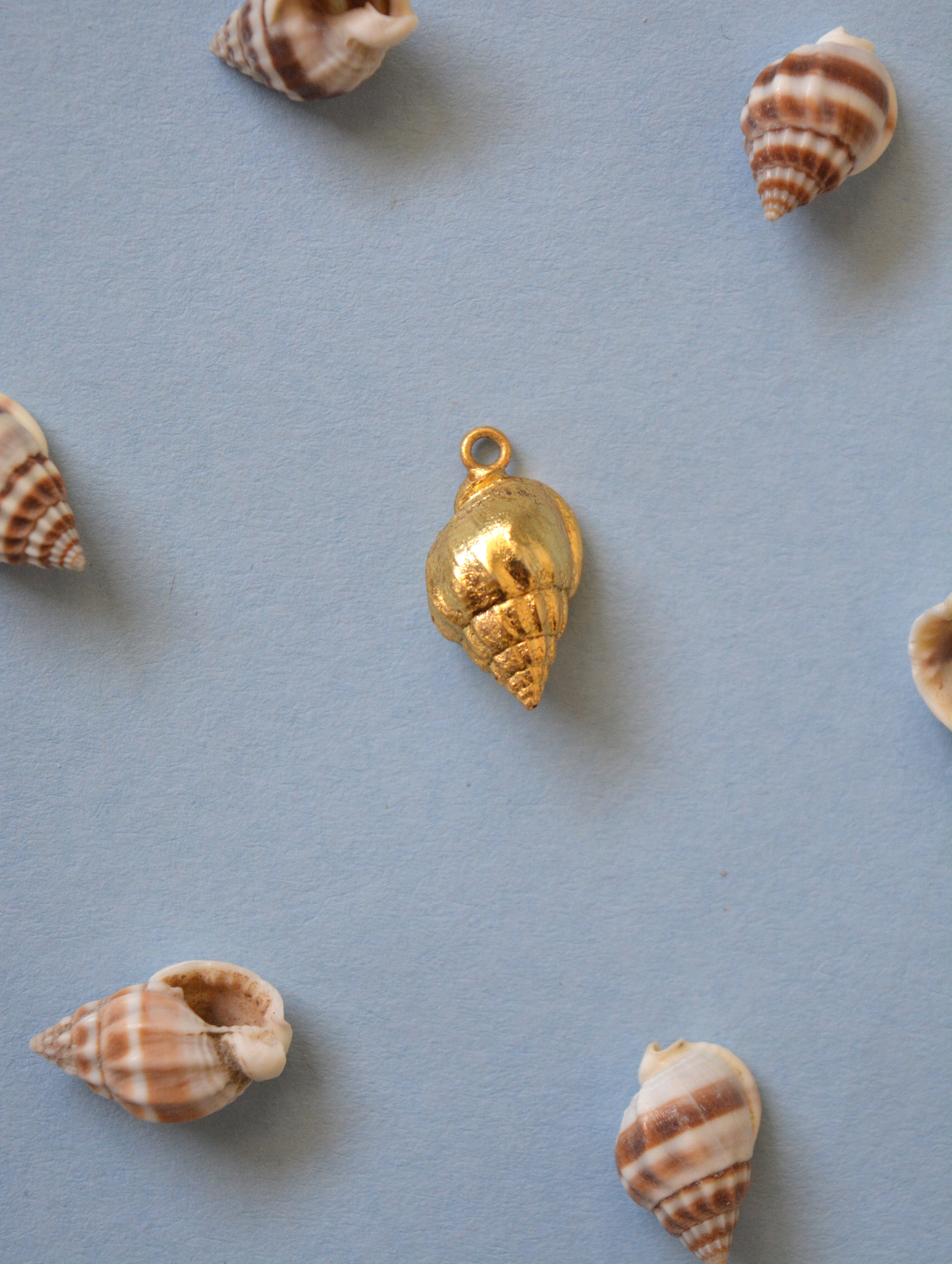 Dove Shell Charm - Gold