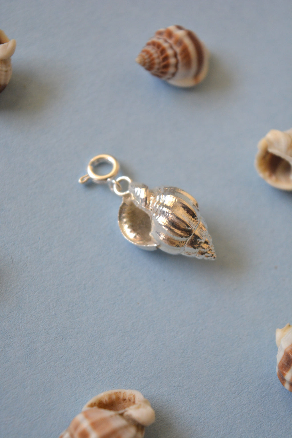 Dove Shell Charm - Silver
