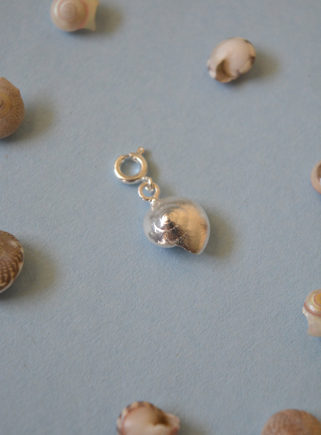 Sundial Shell Charm - Silver