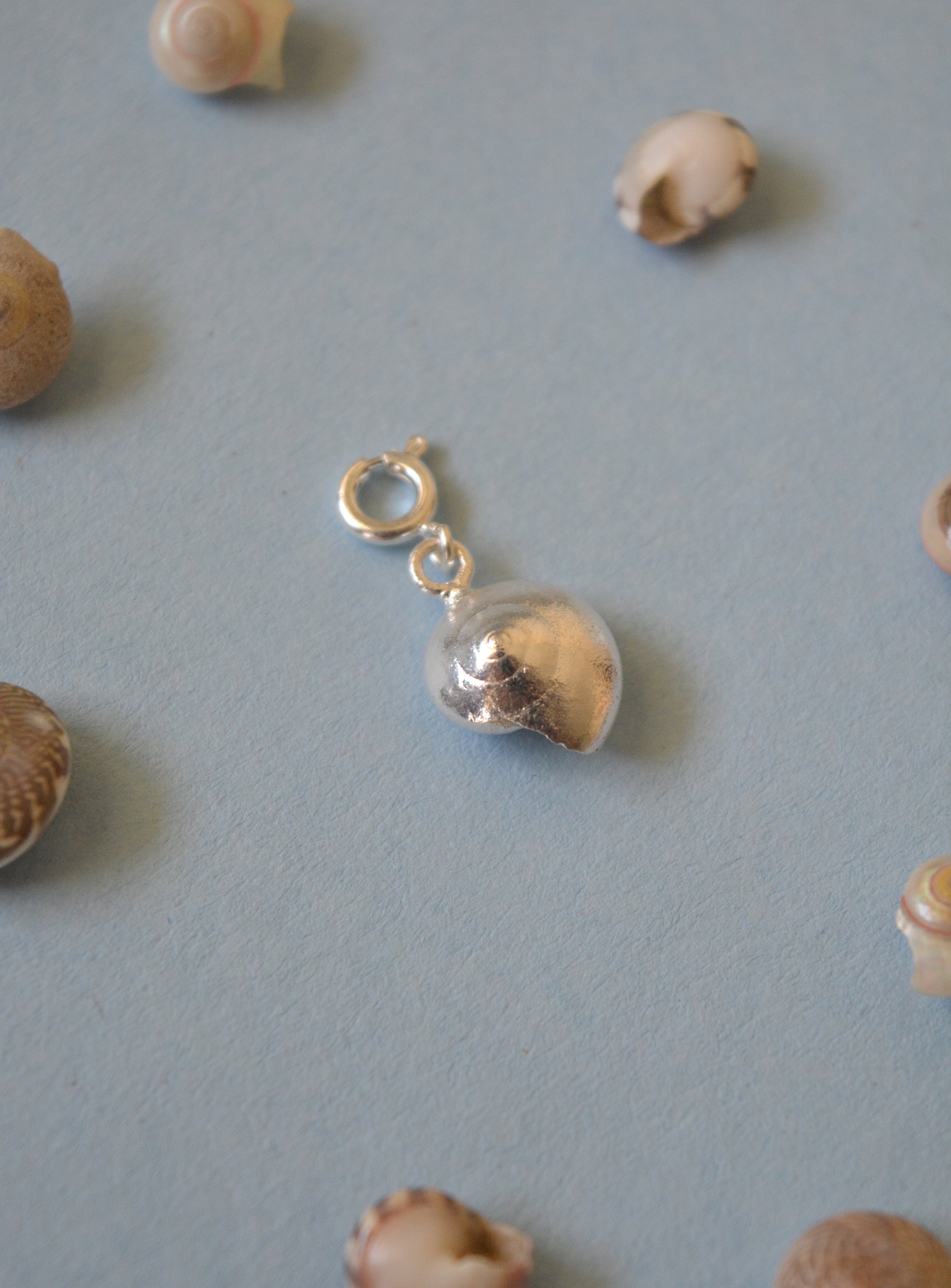 Sundial Shell Charm - Silver