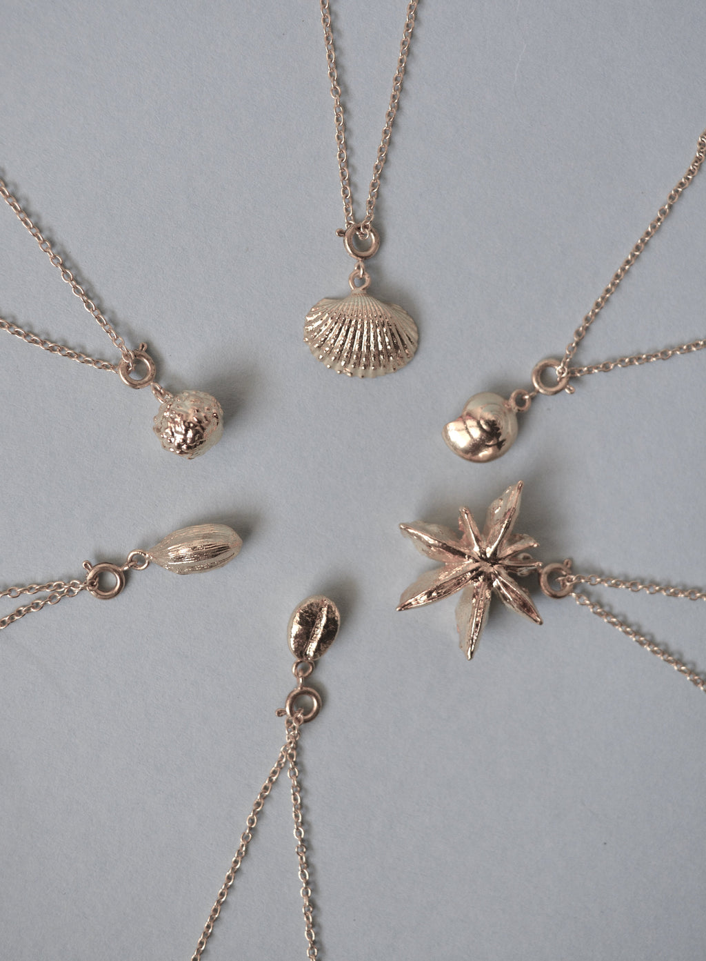 Cowrie Shell Charm - Silver